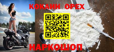 ГАЛЛЮЦИНОГЕННЫЕ ГРИБЫ Гусев