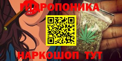 ГАЛЛЮЦИНОГЕННЫЕ ГРИБЫ Гусев