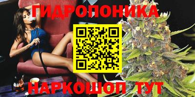 ГАЛЛЮЦИНОГЕННЫЕ ГРИБЫ Гусев
