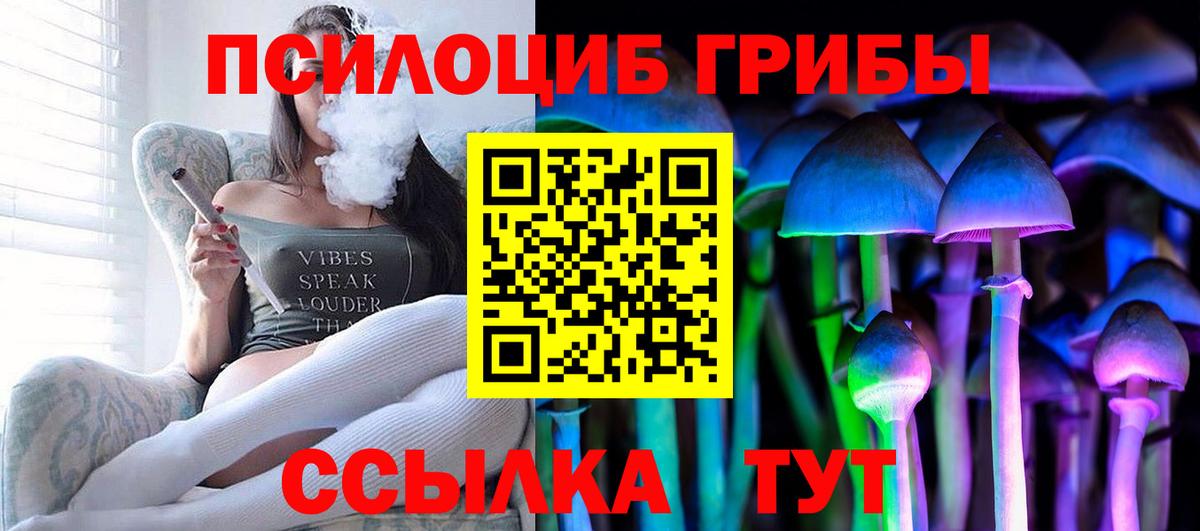 Псилоцибиновые грибы мицелий  где купить наркотик  Кемерово  Вход с VPN 
