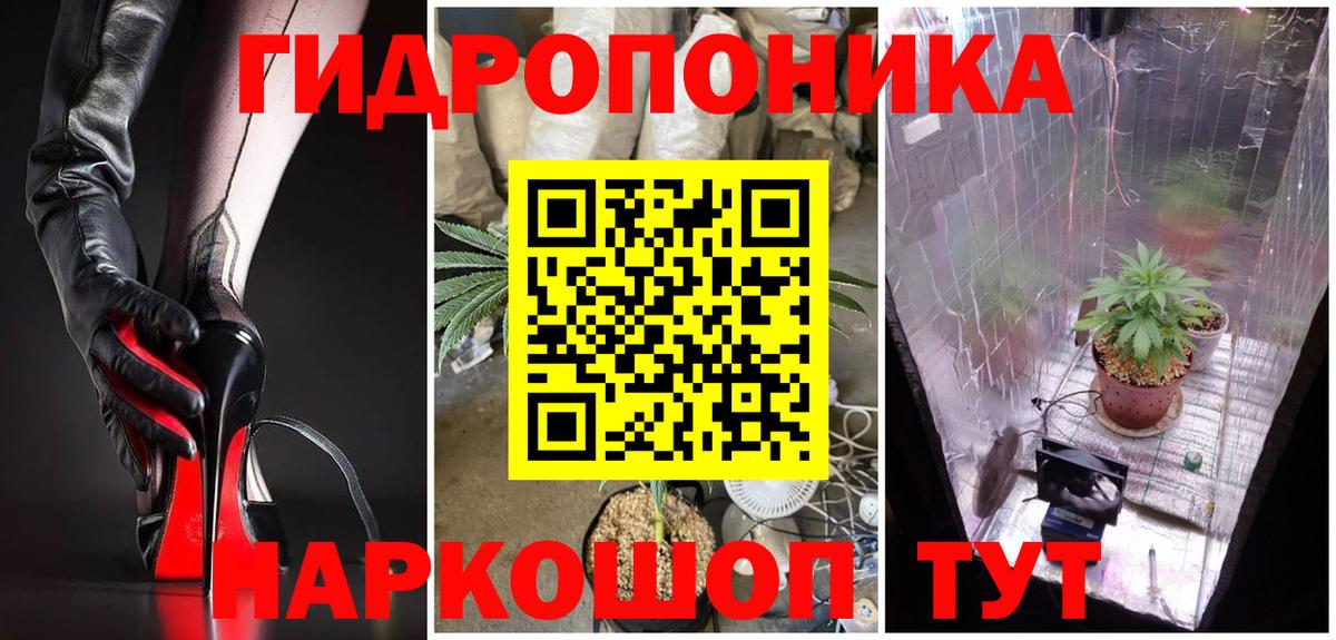 Шишки марихуана марихуана Кемерово